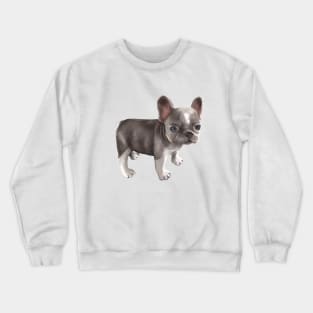Puppy Frenchie Crewneck Sweatshirt